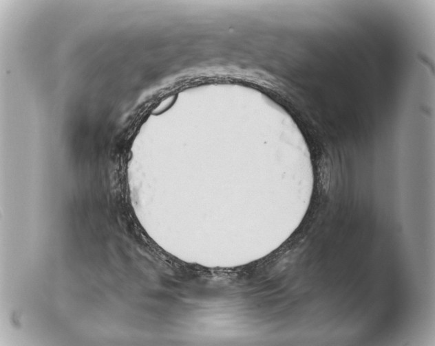 X0000103501494200810101034