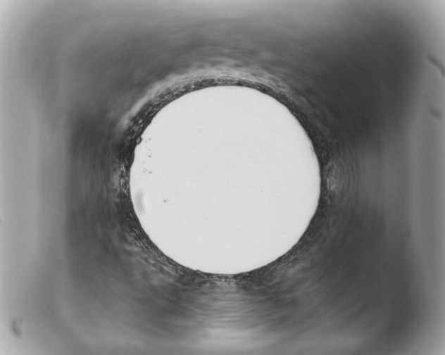 X0000103501495200810101034