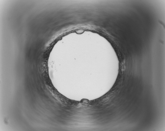 X0000103501496200810101034