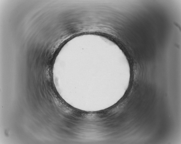 X0000103501497200810101034