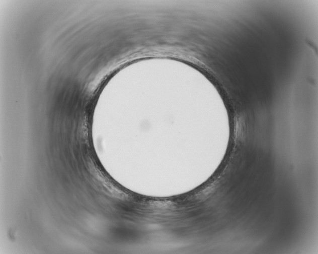 X0000103501498200810101034