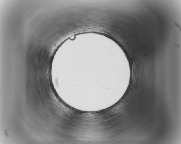 X0000103501500200810101034