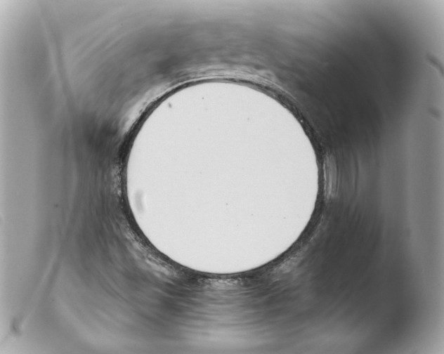 X0000103501501200810101034