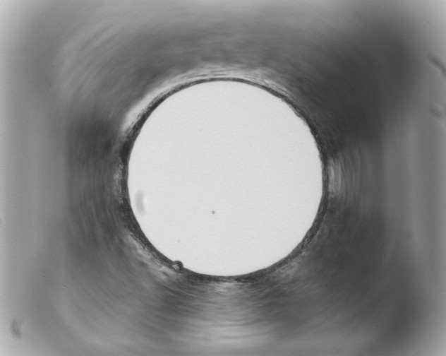 X0000103501502200810101034