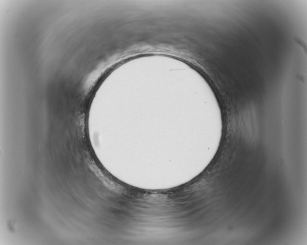 X0000103501503200810101034