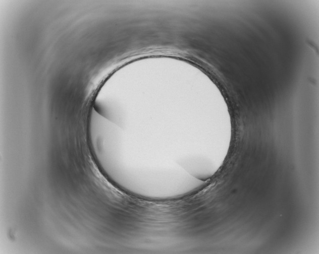 X0000103501504200810101034