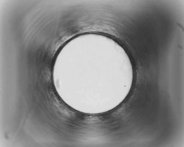 X0000103501505200810101034