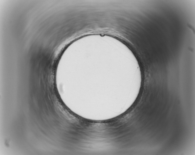 X0000103501506200810101034