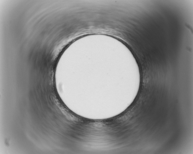 X0000103501507200810101034