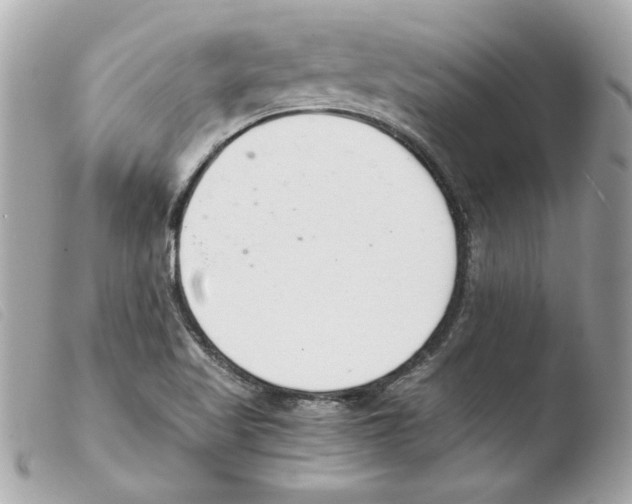 X0000103501509200810101034