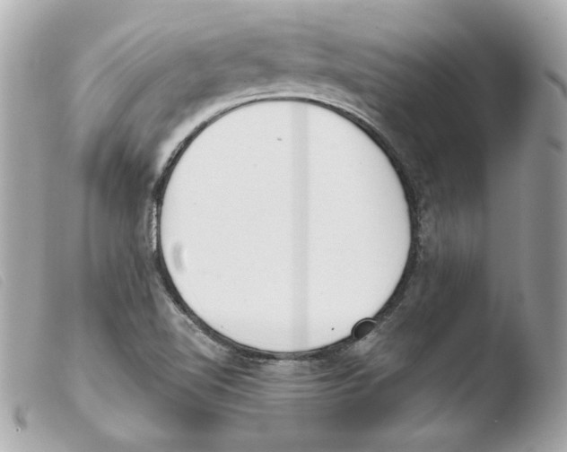 X0000103501510200810101034