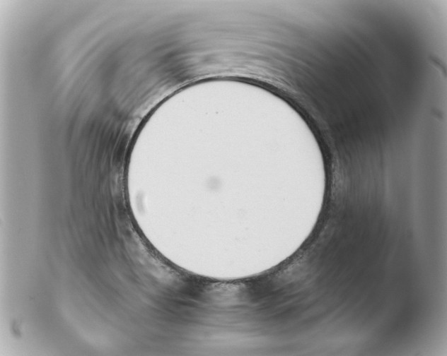 X0000103501513200810101034