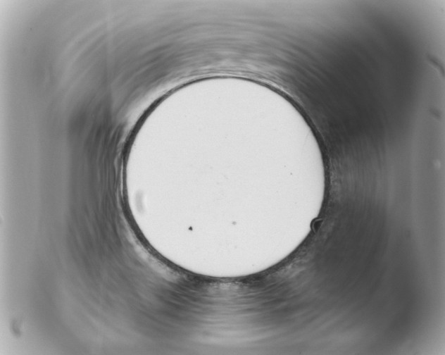 X0000103501515200810101034