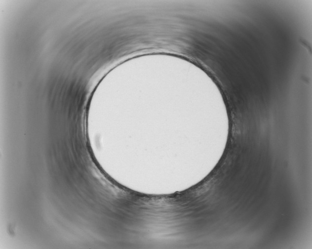 X0000103501516200810101034