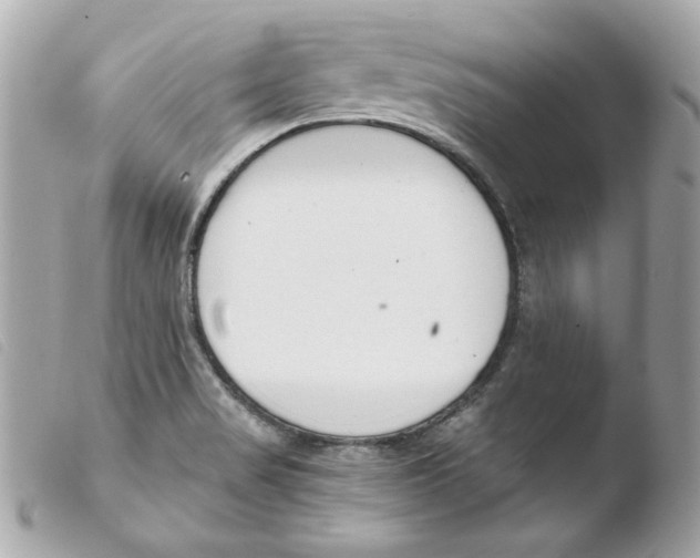 X0000103501517200810101034