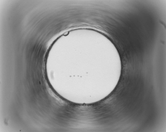 X0000103501518200810101034