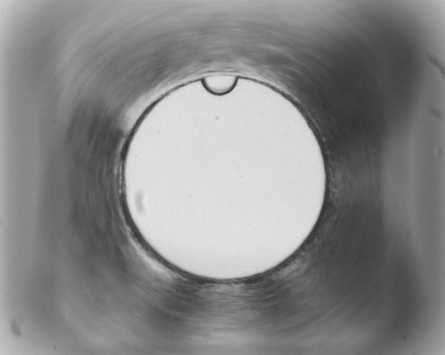 X0000103501519200810101034