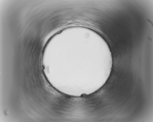 X0000103501522200810101034