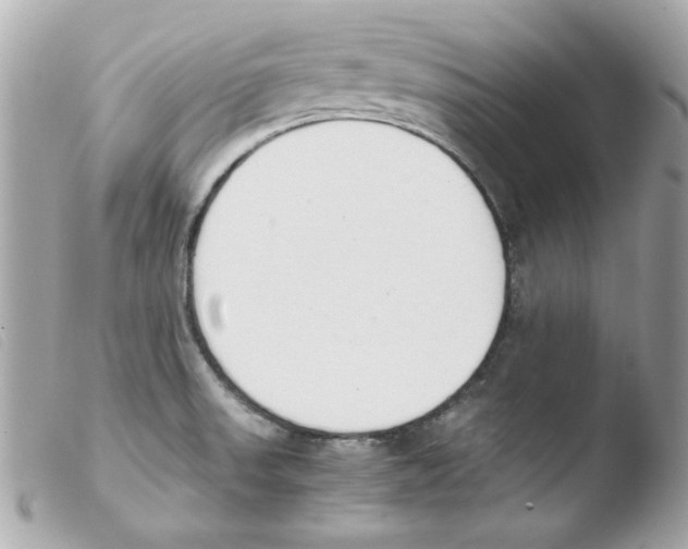 X0000103501523200810101034