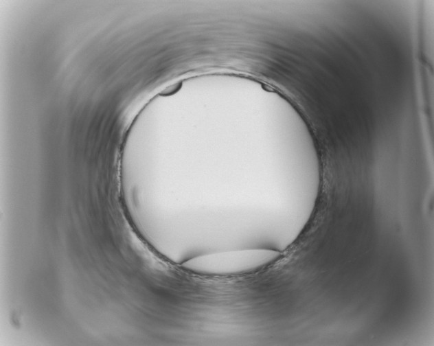 X0000103501524200810101034