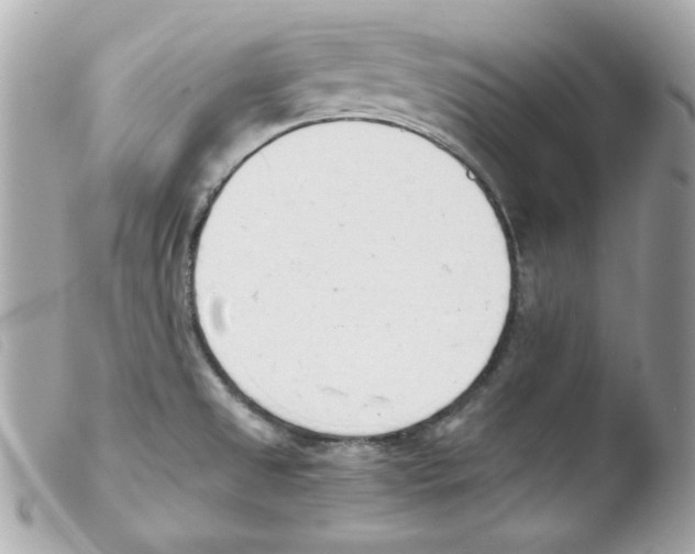 X0000103501525200810101034