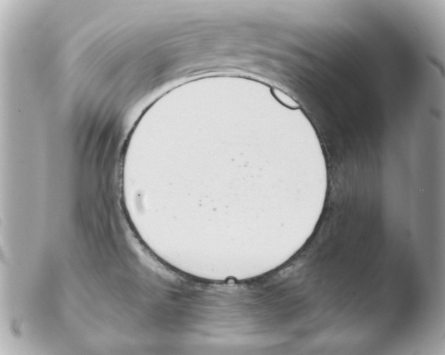 X0000103501526200810101034