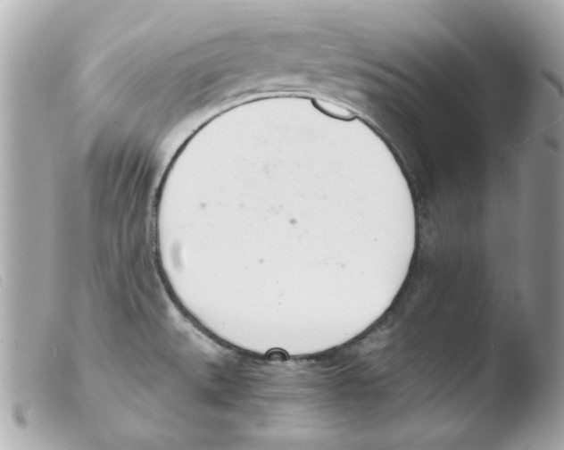 X0000103501527200810101034