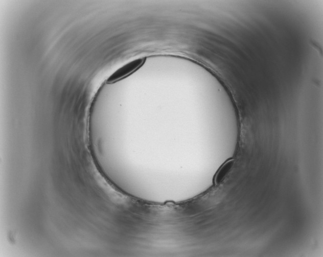 X0000103501528200810101034