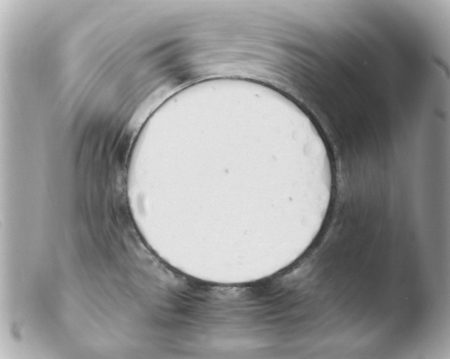 X0000103501529200810101034