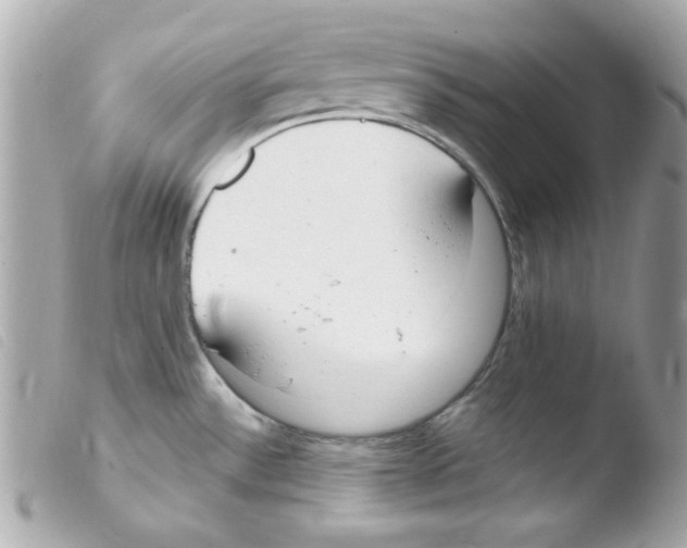 X0000103501532200810101034