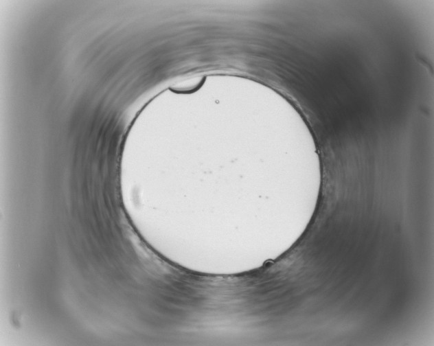 X0000103501534200810101035