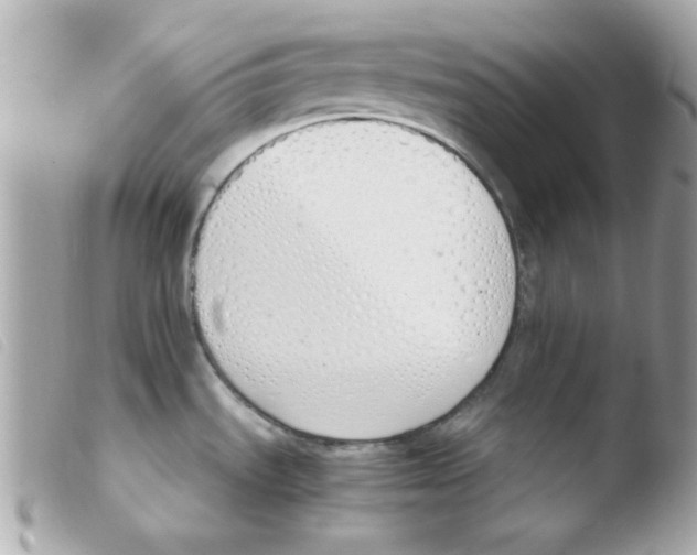 X0000103501535200810101035