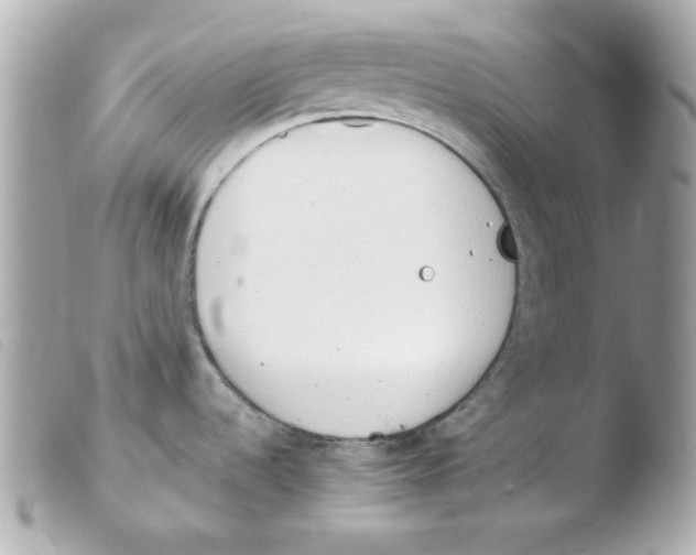 X0000103501536200810101035