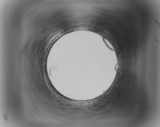 X0000103500001200810241135