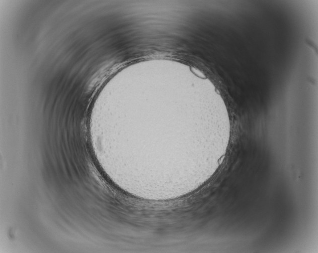 X0000103500002200810241135