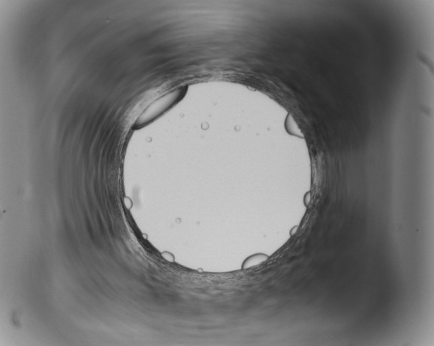 X0000103500003200810241135