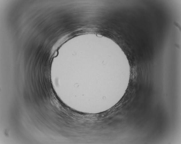 X0000103500004200810241135