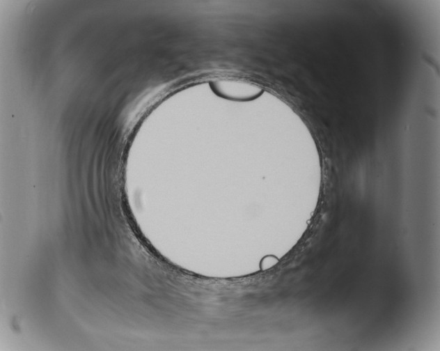 X0000103500007200810241135