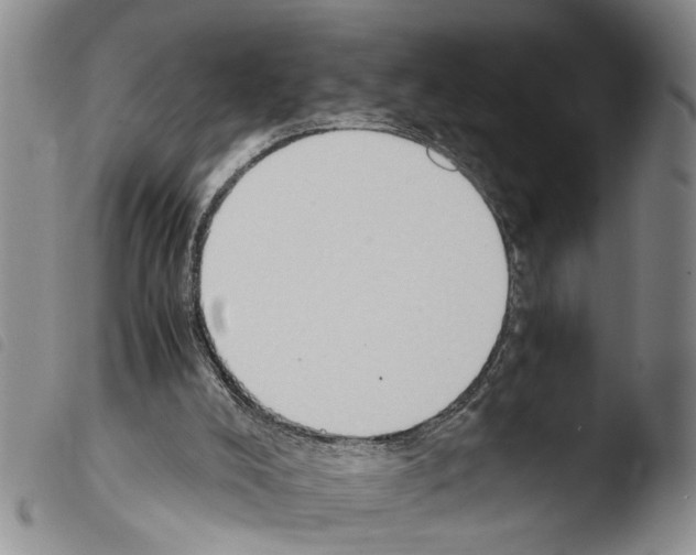 X0000103500008200810241135