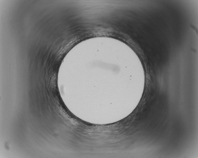 X0000103500009200810241135