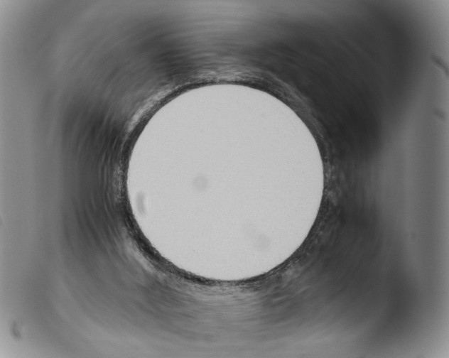 X0000103500012200810241135