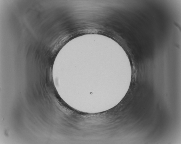 X0000103500013200810241135