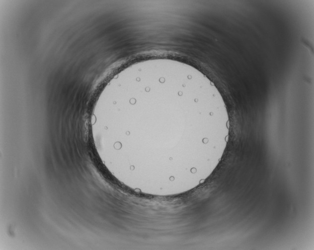 X0000103500016200810241135