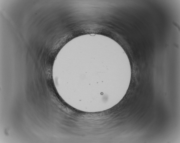 X0000103500017200810241135