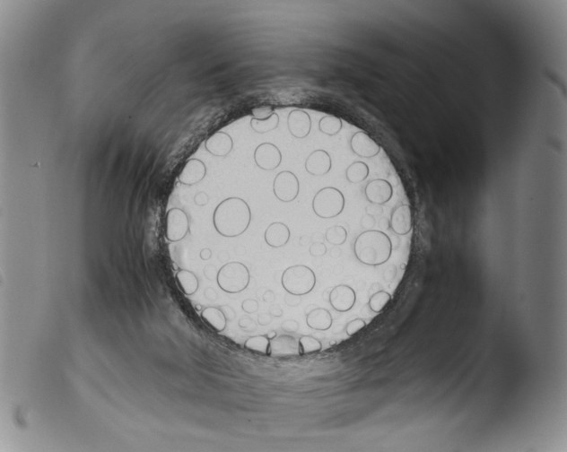 X0000103500018200810241135