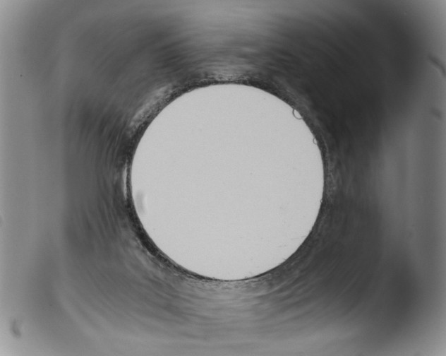 X0000103500019200810241135