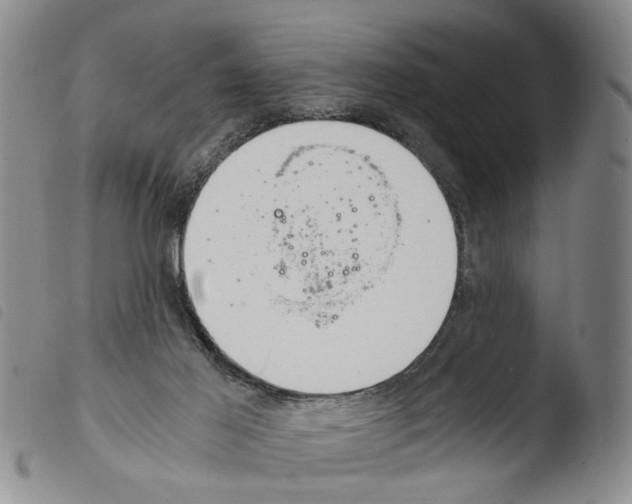 X0000103500021200810241135