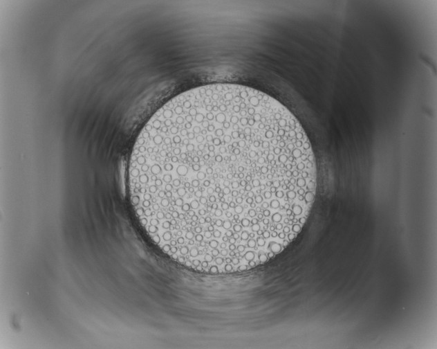 X0000103500022200810241135