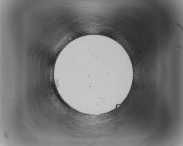 X0000103500023200810241135