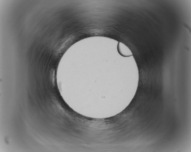 X0000103500024200810241135